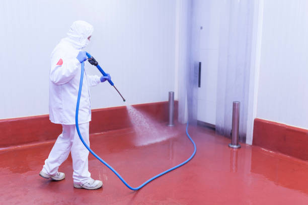 Best Warehouse Cleaning  in Woodbury Center, CT